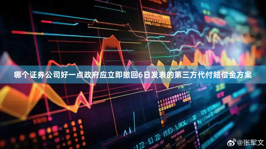 哪个证券公司好一点政府应立即撤回6日发表的第三方代付赔偿金方案