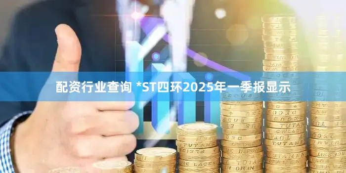 配资行业查询 *ST四环2025年一季报显示