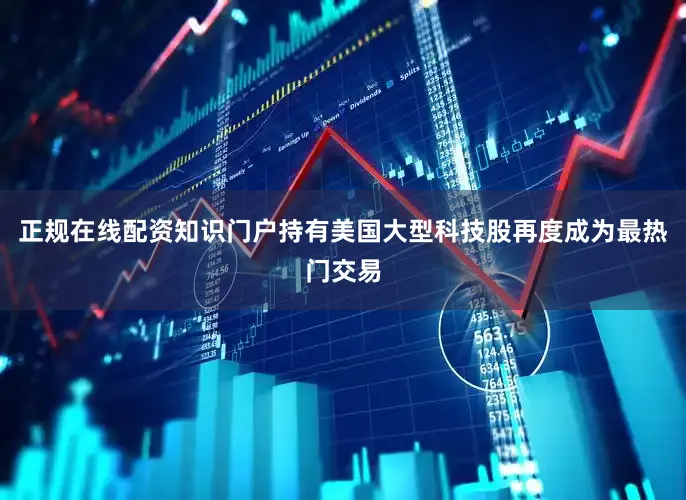 正规在线配资知识门户持有美国大型科技股再度成为最热门交易