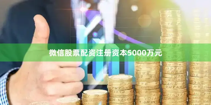 微信股票配资注册资本5000万元